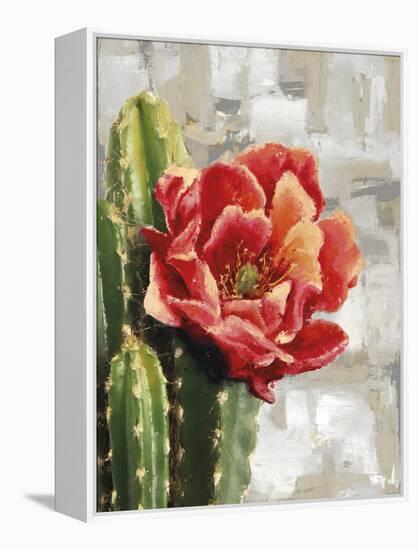 Desert Flower - Solo-Tania Bello-Framed Stretched Canvas