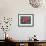 Desert Flower-Assaf Frank-Framed Giclee Print displayed on a wall