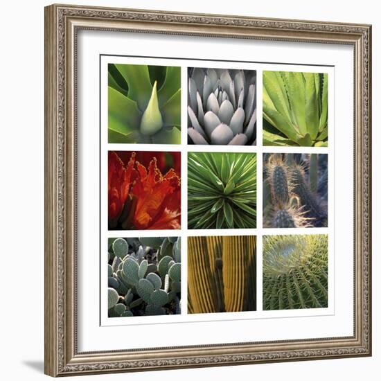 Desert Flowers-Mary Karla-Framed Giclee Print