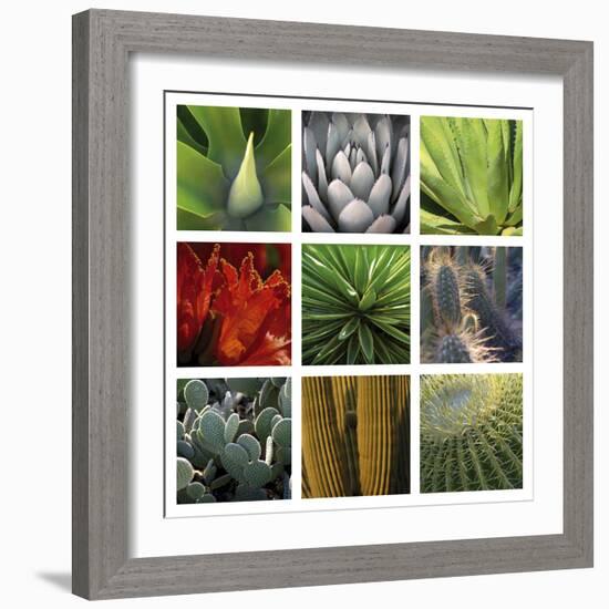 Desert Flowers-Mary Karla-Framed Giclee Print