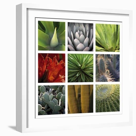 Desert Flowers-Mary Karla-Framed Giclee Print