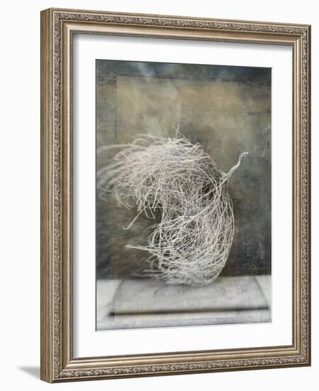 Desert Form I-Elena Ray-Framed Art Print