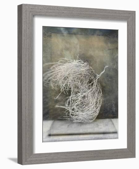 Desert Form I-Elena Ray-Framed Art Print