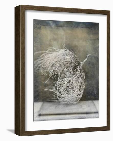 Desert Form I-Elena Ray-Framed Art Print