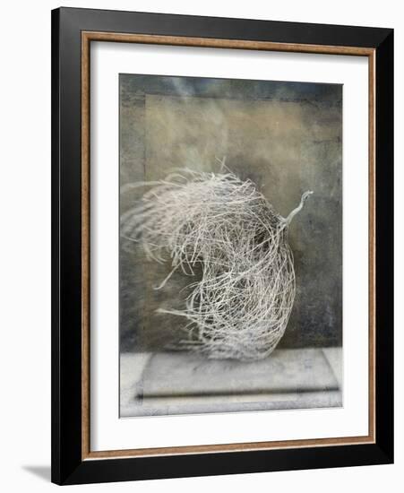 Desert Form I-Elena Ray-Framed Art Print