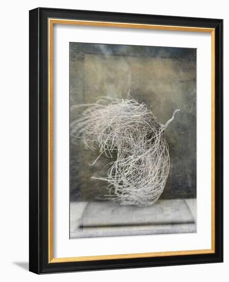 Desert Form I-Elena Ray-Framed Art Print