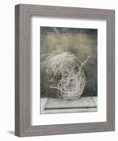 Desert Form I-Elena Ray-Framed Premium Giclee Print