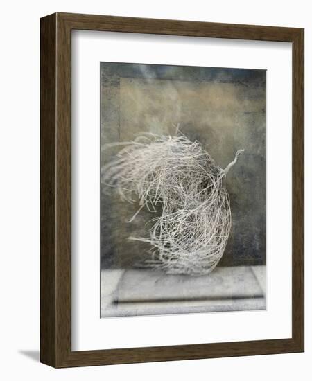 Desert Form I-Elena Ray-Framed Premium Giclee Print