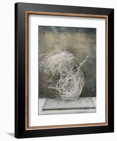 Desert Form I-Elena Ray-Framed Premium Giclee Print