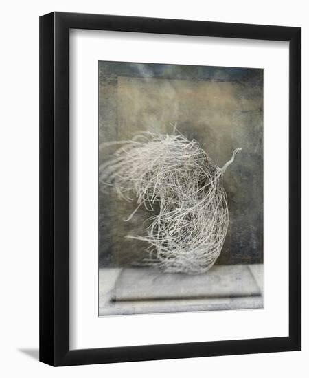 Desert Form I-Elena Ray-Framed Premium Giclee Print