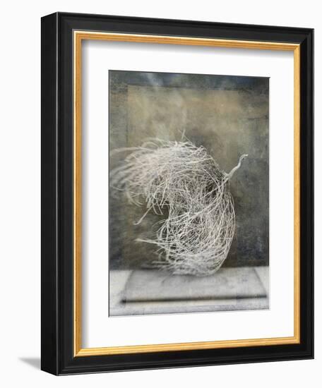 Desert Form I-Elena Ray-Framed Premium Giclee Print