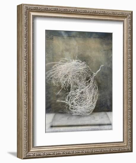 Desert Form I-Elena Ray-Framed Art Print