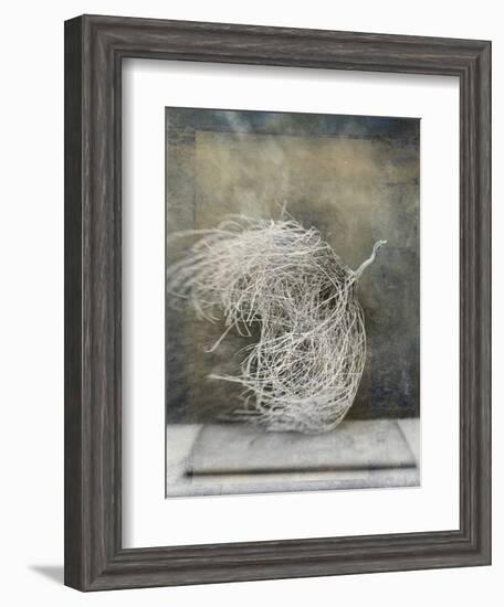 Desert Form I-Elena Ray-Framed Art Print