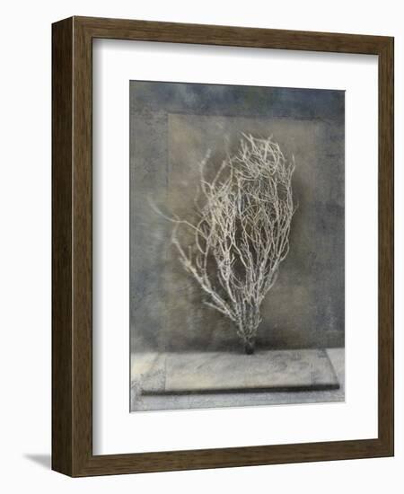 Desert Form III-Elena Ray-Framed Art Print