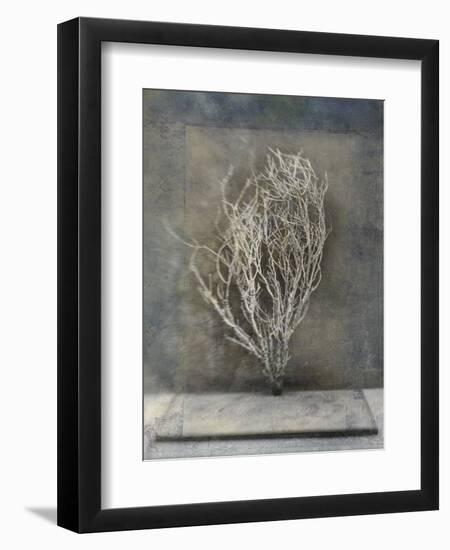 Desert Form III-Elena Ray-Framed Art Print