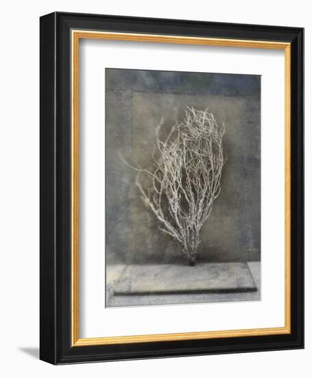 Desert Form III-Elena Ray-Framed Art Print