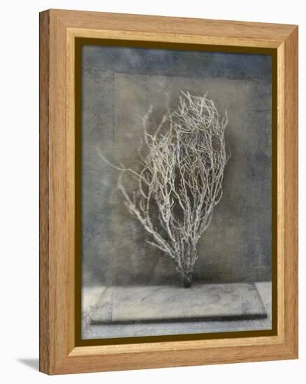 Desert Form III-Elena Ray-Framed Stretched Canvas