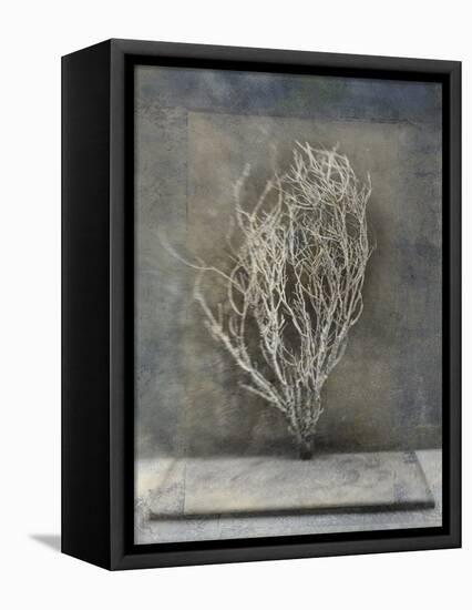 Desert Form III-Elena Ray-Framed Stretched Canvas