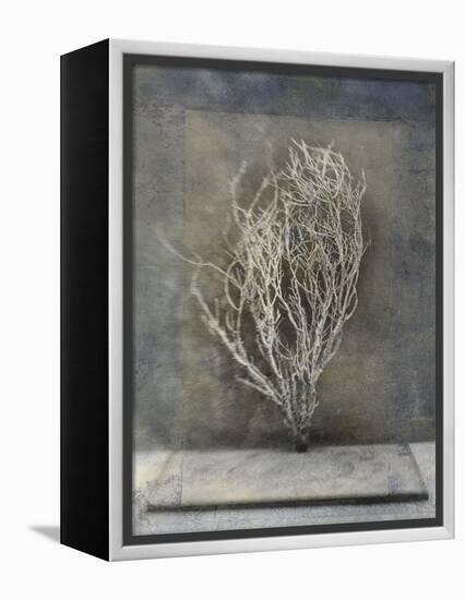 Desert Form III-Elena Ray-Framed Stretched Canvas