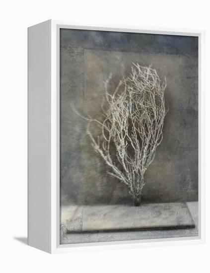 Desert Form III-Elena Ray-Framed Stretched Canvas