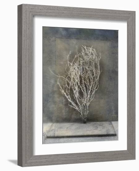 Desert Form III-Elena Ray-Framed Art Print