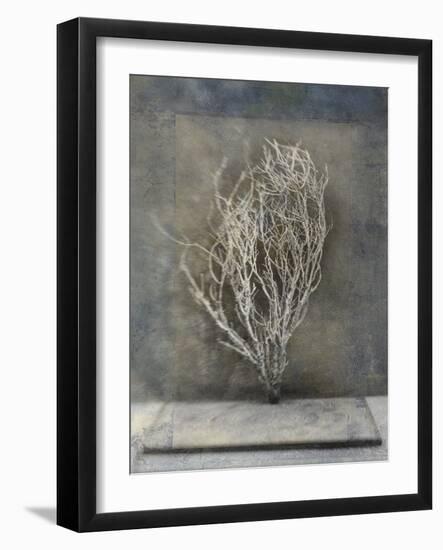 Desert Form III-Elena Ray-Framed Art Print