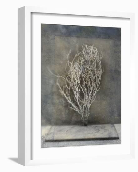 Desert Form III-Elena Ray-Framed Art Print