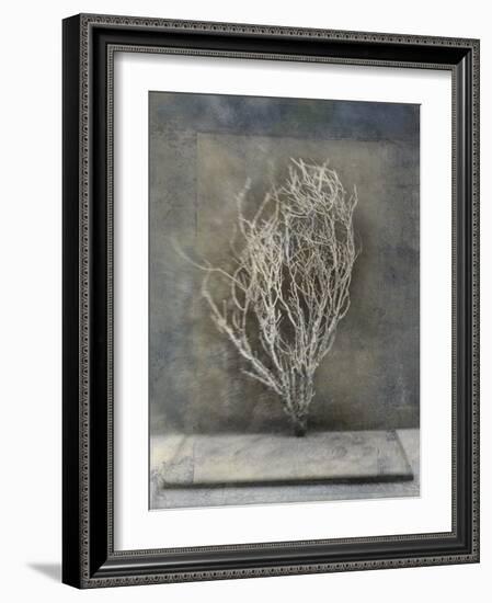 Desert Form III-Elena Ray-Framed Art Print