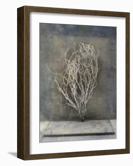 Desert Form III-Elena Ray-Framed Premium Giclee Print