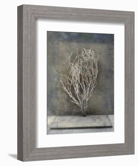 Desert Form III-Elena Ray-Framed Premium Giclee Print