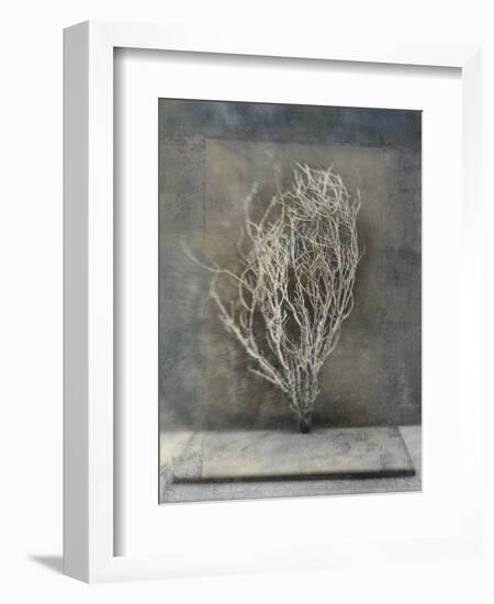 Desert Form III-Elena Ray-Framed Premium Giclee Print