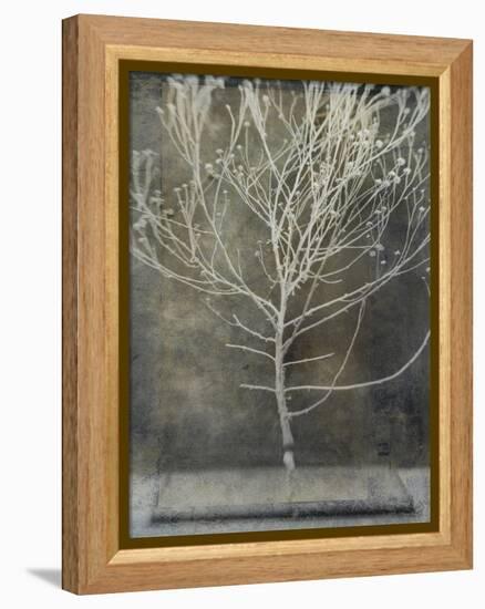 Desert Form IV-Elena Ray-Framed Stretched Canvas