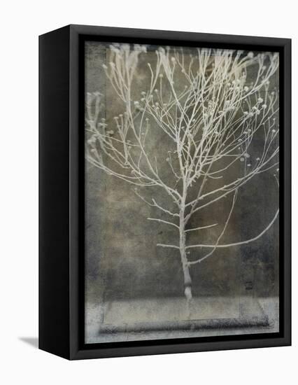 Desert Form IV-Elena Ray-Framed Stretched Canvas