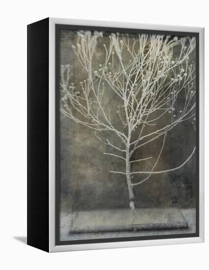 Desert Form IV-Elena Ray-Framed Stretched Canvas