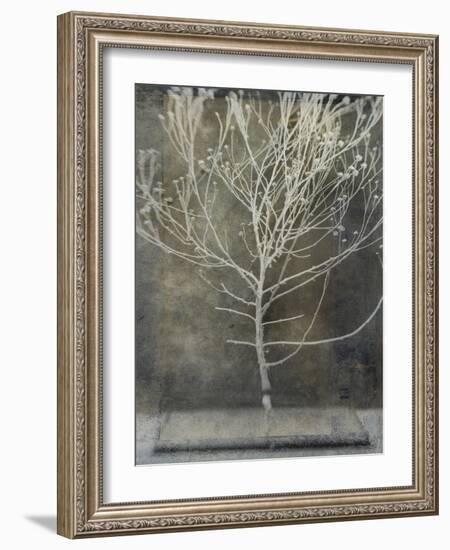 Desert Form IV-Elena Ray-Framed Art Print