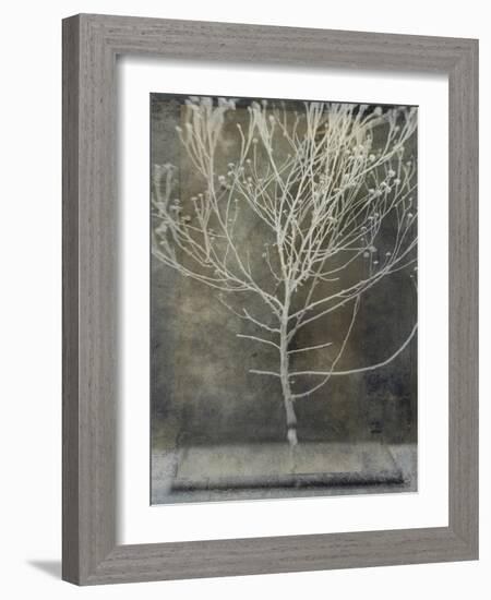 Desert Form IV-Elena Ray-Framed Art Print