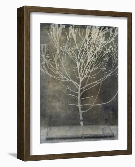 Desert Form IV-Elena Ray-Framed Art Print