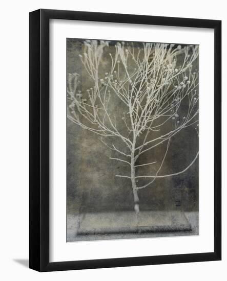 Desert Form IV-Elena Ray-Framed Art Print