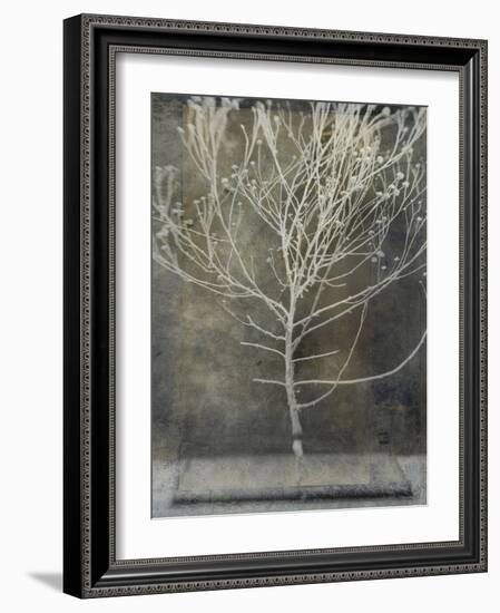 Desert Form IV-Elena Ray-Framed Art Print