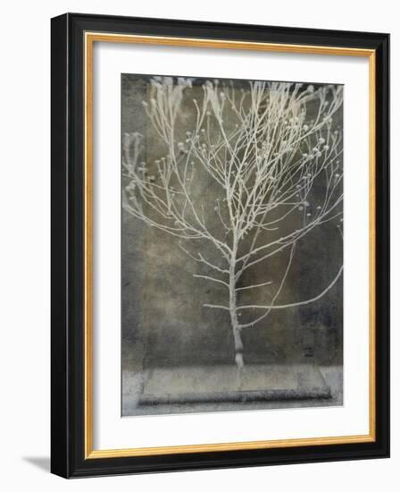 Desert Form IV-Elena Ray-Framed Art Print