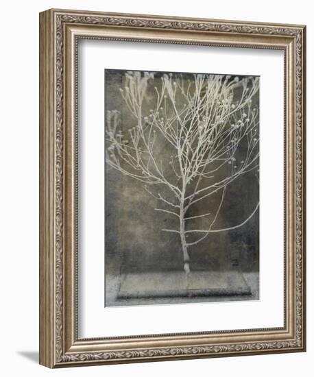 Desert Form IV-Elena Ray-Framed Premium Giclee Print