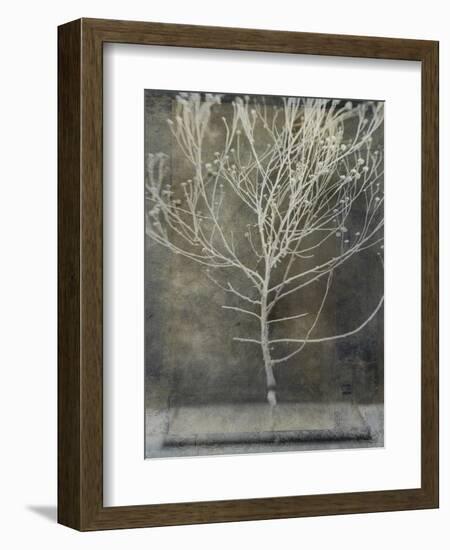 Desert Form IV-Elena Ray-Framed Premium Giclee Print