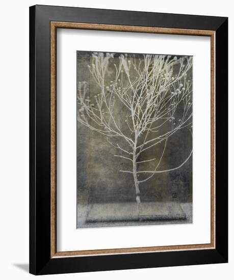Desert Form IV-Elena Ray-Framed Premium Giclee Print