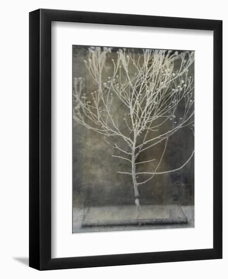 Desert Form IV-Elena Ray-Framed Premium Giclee Print