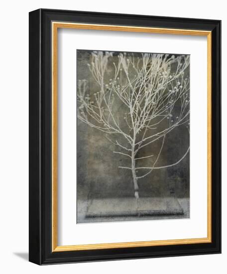 Desert Form IV-Elena Ray-Framed Premium Giclee Print