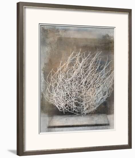 Desert Form V-Elena Ray-Framed Art Print