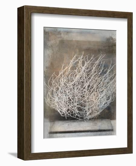 Desert Form V-Elena Ray-Framed Art Print