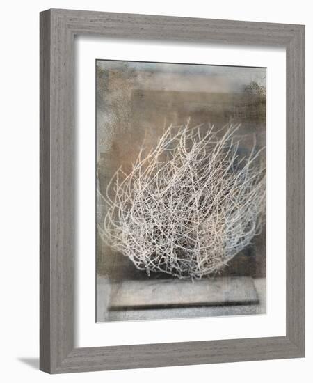 Desert Form V-Elena Ray-Framed Art Print