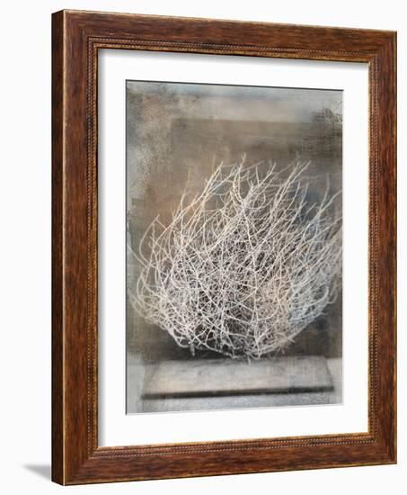 Desert Form V-Elena Ray-Framed Art Print