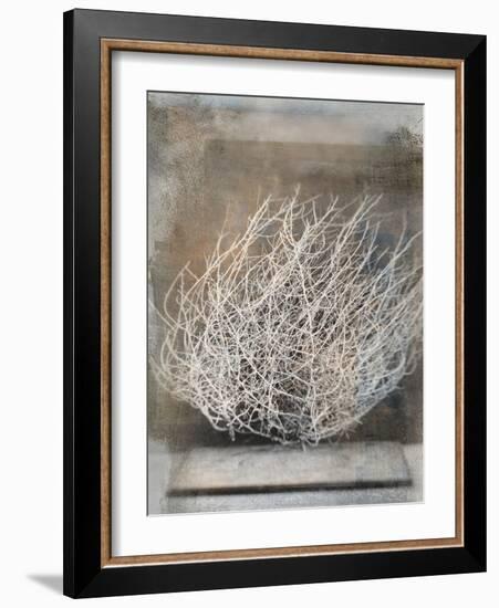 Desert Form V-Elena Ray-Framed Art Print